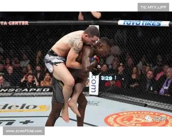 阿迪达斯携手劳力士共创新纪元 UFC赞助金额刷新全球纪录